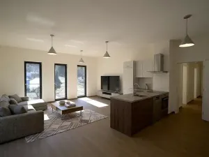 Prodej bytu 3+kk, Jablonec nad Nisou, Krkonošská, 95 m2