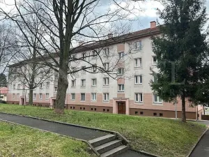 Prodej bytu 3+1, Ostrov, Hlavní třída, 76 m2