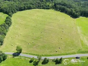 Prodej louky, Třebušín, 74552 m2