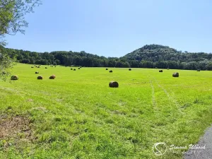 Prodej louky, Třebušín, 74552 m2