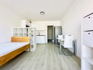 Pronájem bytu 1+kk, Brno, Lidická, 28 m2