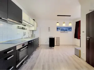Prodej bytu 1+kk, Brno, Křenová, 32 m2