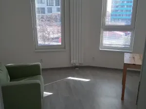 Pronájem bytu 3+kk, Praha - Žižkov, Olgy Havlové, 71 m2