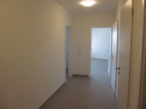 Pronájem kanceláře, Praha - Žižkov, Olgy Havlové, 71 m2