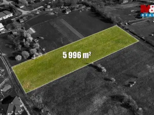 Prodej pozemku pro bydlení, Petkovy, 5996 m2