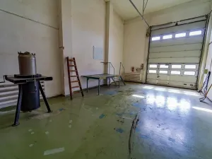 Prodej výrobních prostor, Bezno, Nemyslovická, 861 m2