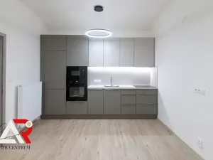 Prodej komerční nemovitosti, Brno, Jiráskova, 233 m2