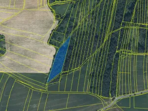 Prodej lesa, Blížejov - Lštění, 7793 m2