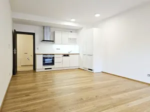 Pronájem bytu 1+kk, Brno, Kleštínek, 39 m2