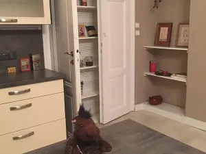 Pronájem bytu 2+kk, Liberec, Gorkého, 73 m2