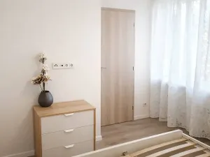 Pronájem bytu 2+kk, Praha - Žižkov, Pod lipami, 54 m2