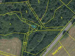 Prodej lesa, Kolinec - Buršice, 5195 m2