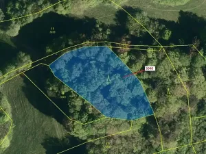 Dražba lesa, Zděchov, 2428 m2