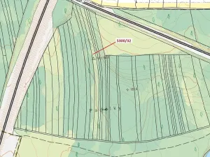 Dražba lesa, Bzenec, 4949 m2