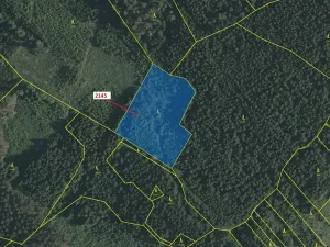 Dražba lesa, Strmilov, 5413 m2