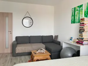 Pronájem bytu 1+1, Ostrava, Opavská, 34 m2