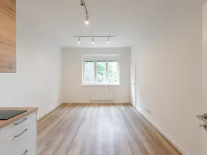 Pronájem bytu 1+kk, Praha - Michle, Hanusova, 28 m2