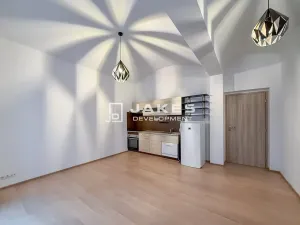 Pronájem bytu 1+kk, Praha - Libeň, Pod Labuťkou, 30 m2
