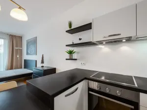 Pronájem bytu 1+kk, Praha - Vinohrady, Korunní, 47 m2
