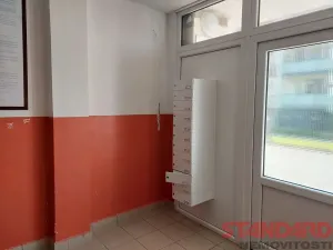 Pronájem bytu 3+1, Přeštice, Palackého, 75 m2