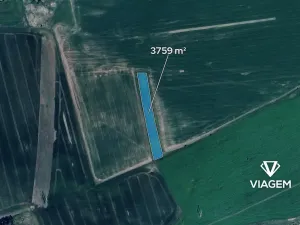 Prodej pole, Sedliště, 3759 m2