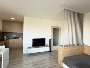 Pronájem bytu 1+kk, Pardubice, Pod Vinicí, 36 m2