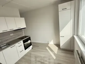 Pronájem bytu 2+1, Slaný, Vikova, 59 m2