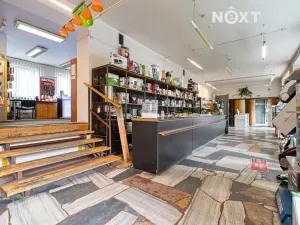 Prodej obchodního prostoru, Frýdlant nad Ostravicí, Komenského, 206 m2