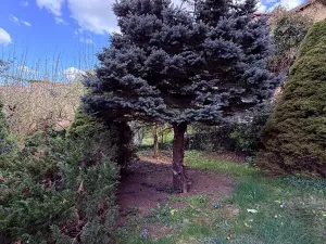 Pronájem rodinného domu, Praha - Braník, U dubu, 200 m2