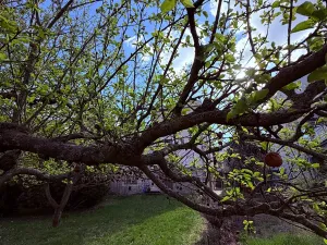 Pronájem rodinného domu, Praha - Braník, U dubu, 200 m2