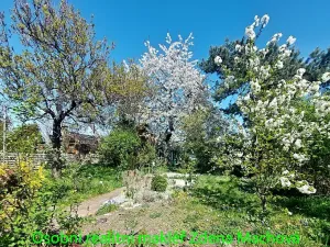 Prodej chaty, Praha, Na Balkáně, 7 m2