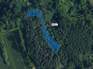 Dražba lesa, Český Dub, 2117 m2