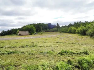 Prodej komerčního pozemku, Jesenice, Rekreační, 10738 m2