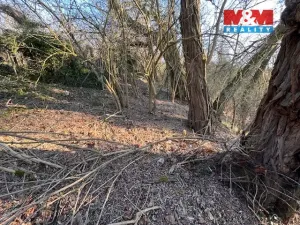 Prodej pozemku pro bydlení, Škvorec, Na Pazderně, 3136 m2