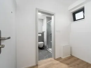 Pronájem bytu 1+kk, České Budějovice, Štítného, 27 m2