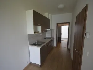 Pronájem bytu 2+kk, Olomouc, Andělská, 57 m2