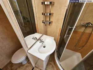 Pronájem bytu 1+kk, Frýdek-Místek, Smetanova, 27 m2