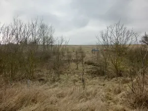 Prodej zahrady, Kunovice, 878 m2