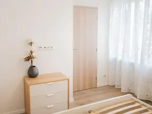 Pronájem bytu 2+kk, Praha - Žižkov, Pod lipami, 54 m2