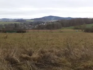 Prodej pole, Srby, 7890 m2