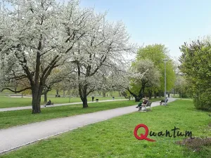 Pronájem bytu 2+kk, Praha - Prosek, Jablonecká, 55 m2