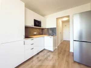 Pronájem bytu 1+kk, Praha - Chodov, Čenětická, 22 m2