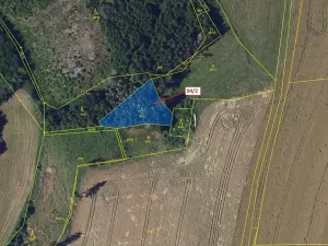 Dražba lesa, Žižkovo Pole, 909 m2