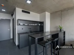 Pronájem bytu 1+kk, Brno, Královopolská, 42 m2