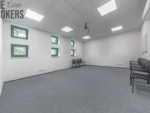 Pronájem rodinného domu, Mladá Boleslav - Čejetice, Koněvova, 296 m2