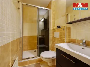 Pronájem bytu 2+kk, Železná Ruda - Alžbětín, 53 m2