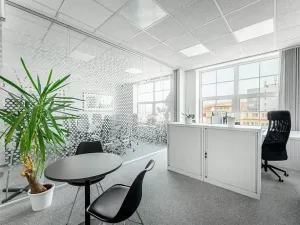 Pronájem kanceláře, Praha - Holešovice, U Uranie, 270 m2