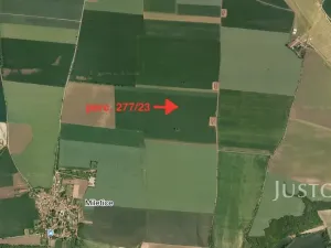 Prodej pole, Černuc, 7167 m2