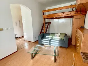 Pronájem bytu 1+1, České Budějovice, 30 m2