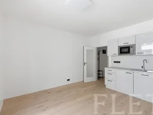 Pronájem bytu 1+kk, Praha - Vršovice, Krymská, 23 m2